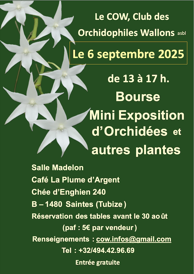 BOURSE D'ECHANGES, VENTES à Saintes Tubize (Belgique)