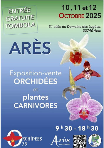 Exposition d'orchidées de Ares (33)
